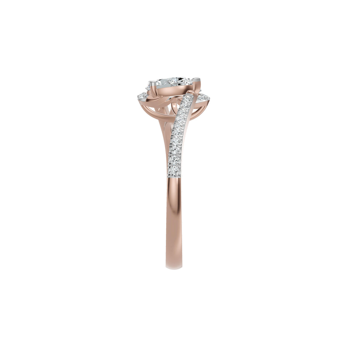 DLR002684 18 KT / Rose Gold / 18