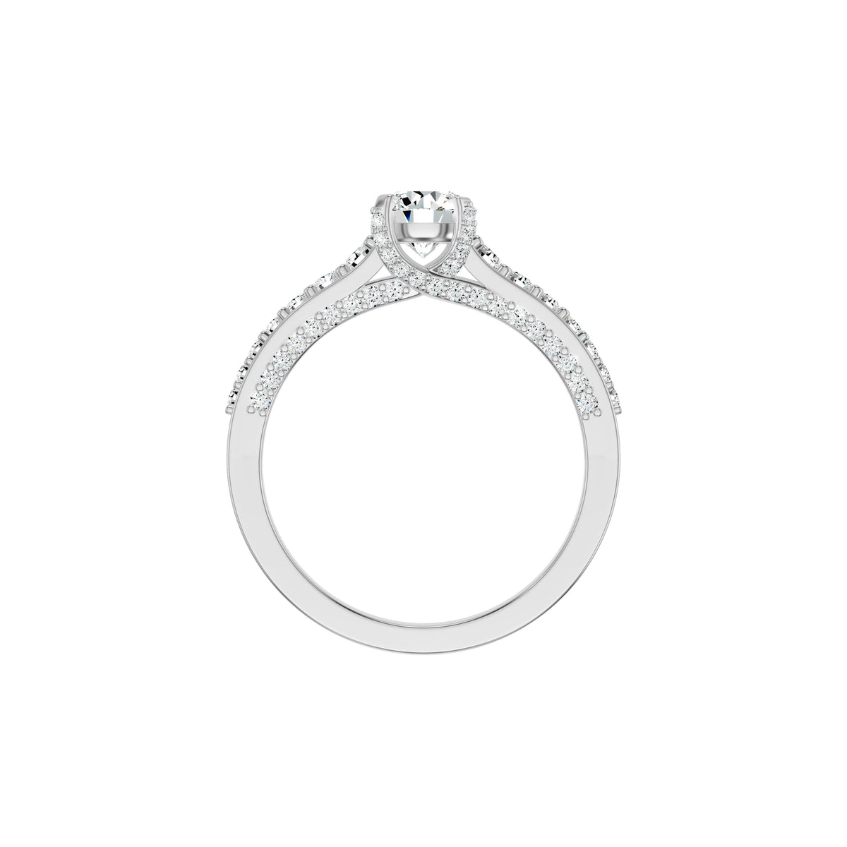 DLR002686 18 KT / White Gold / 18