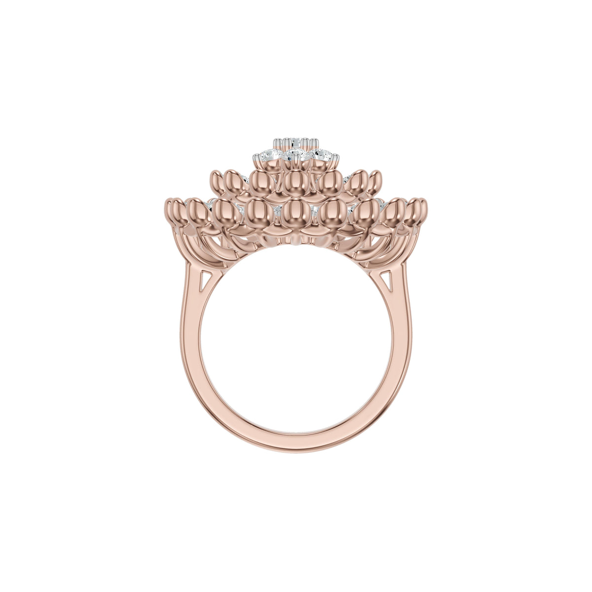 DLR002810 18 KT / Rose Gold / 18
