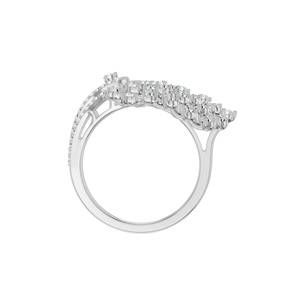 DLR002829 18 KT / White Gold / 18