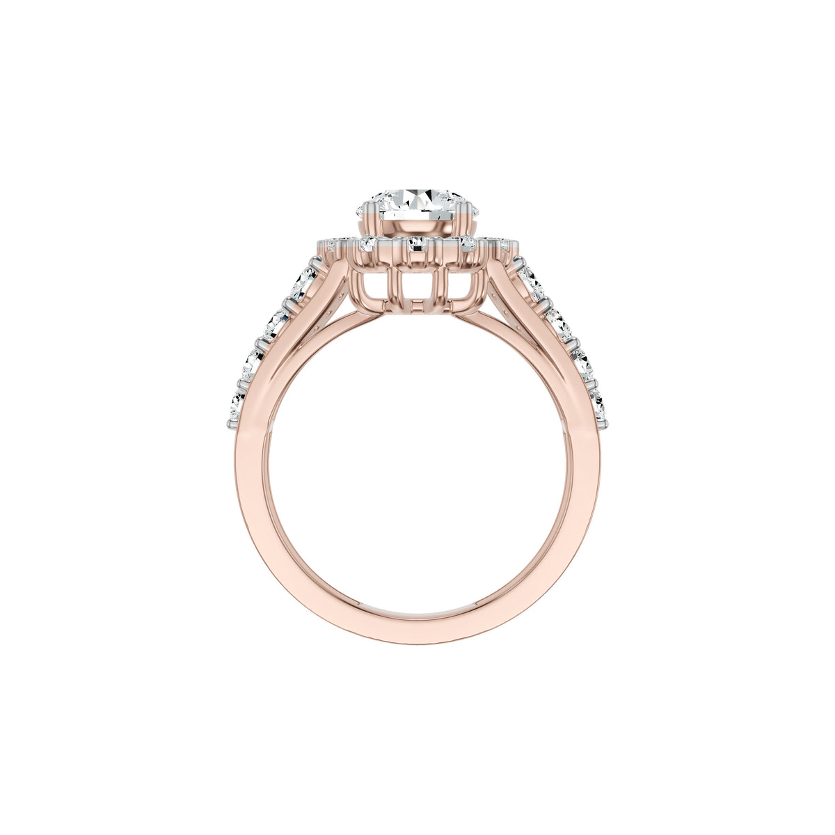 DLR002831 18 KT / Rose Gold / 18