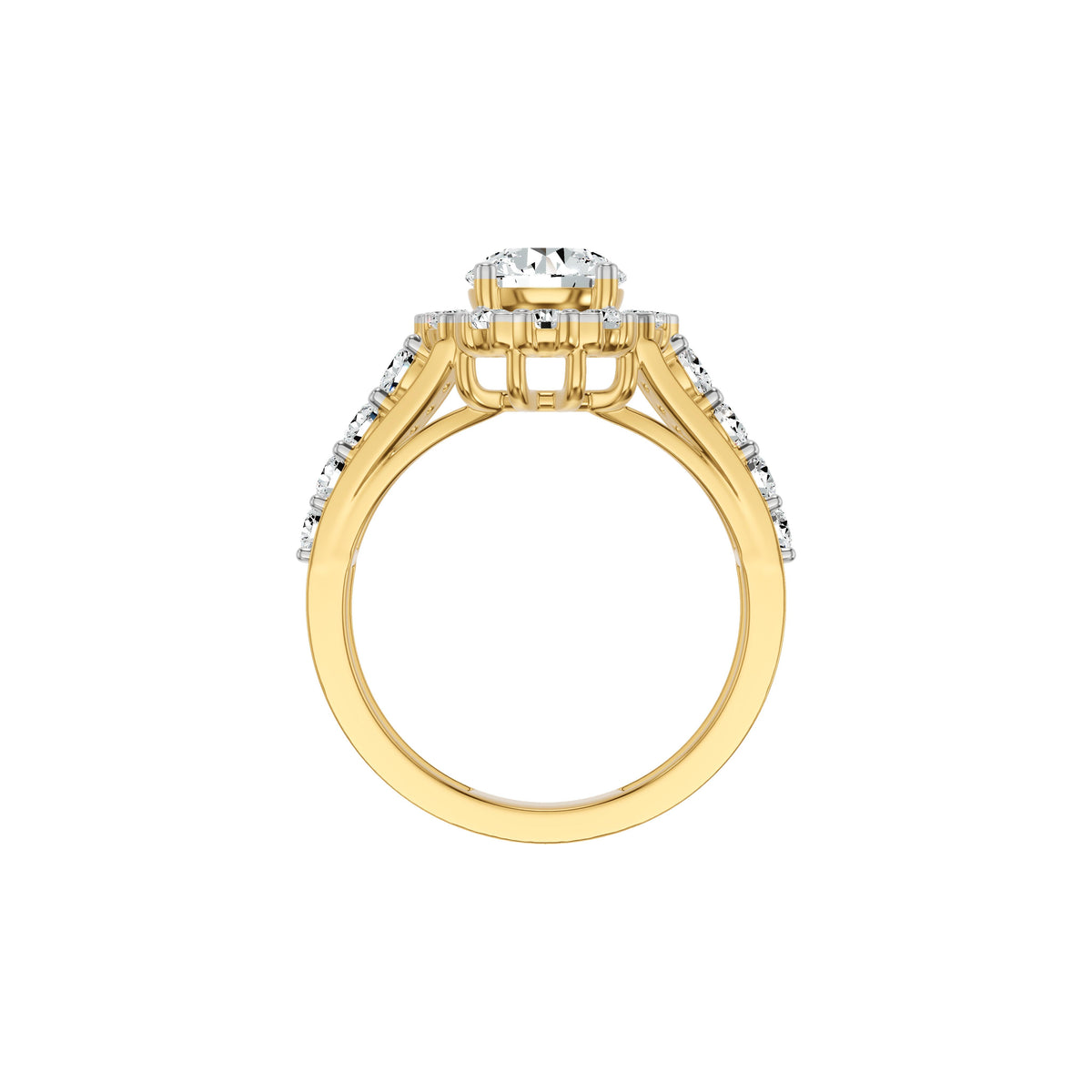 DLR002831 18 KT / Yellow Gold / 18