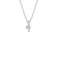 DPN000665 18 KT / White Gold