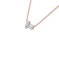 DPN000716 18 KT / Rose Gold