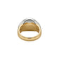 Aurexo Ridge Curve Gold Ring