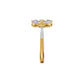 ID-IJRAX19917XX 18 KT / Yellow Gold / 18