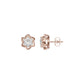 ID-LGERA24488XX 18 KT / Rose Gold