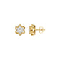 ID-LGERA24488XX 18 KT / Yellow Gold