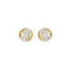 ID-LGERA25836XX 18 KT / Yellow Gold