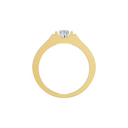 OJ-GR-3586 18 KT / Yellow Gold / 24