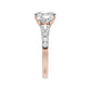 Test Ring - RE36714