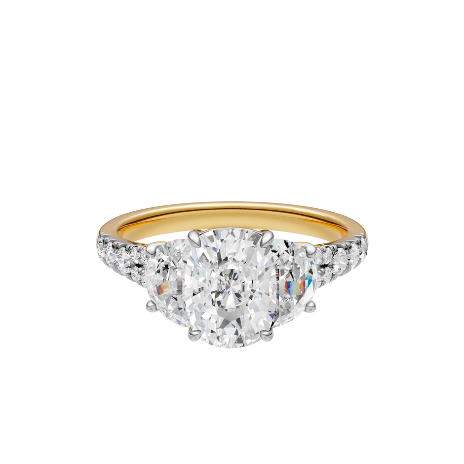 Test Ring - RE36714