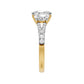 Test Ring - RE36714