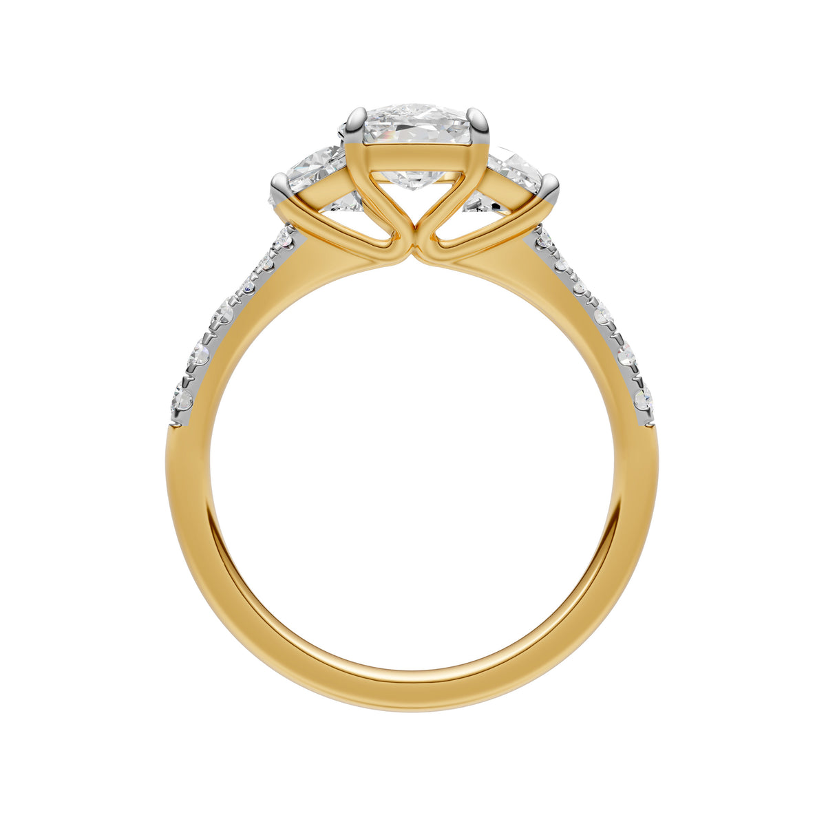 Test Ring - RE36714
