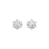 My Era Classic Round Diamond Earrings 18 KT / Rose Gold