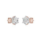 SER001132-00-2.50 18 KT / Rose Gold
