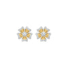 SPER001226 18 KT / Yellow Gold