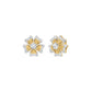 SPER001226 18 KT / Yellow Gold