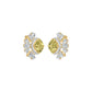 SPER01164 18 KT / Yellow Gold