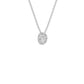 SPN001146 18 KT / White Gold
