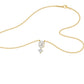 SPN001183 18 KT / Yellow Gold