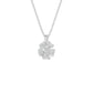 SPN001226 18 KT / White Gold