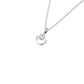SPN001230 18 KT / White Gold
