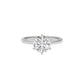 Royal Elegance Diamond Ring 18 KT / White Gold / 22