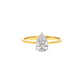 Starlight Radiance Diamond Ring 18 KT / Yellow Gold / 22