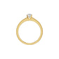 Infinite Classic Round Diamond Ring 18 KT / Yellow Gold / 18