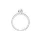 Elysian Essence Diamond Ring 18 KT / White Gold / 18
