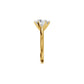 Contemporary Swirl Diamond Ring 18 KT / Yellow Gold / 18