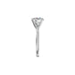 Royal Elegance Diamond Ring 18 KT / White Gold / 18