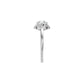 SRG001228 18 KT / White Gold / 18