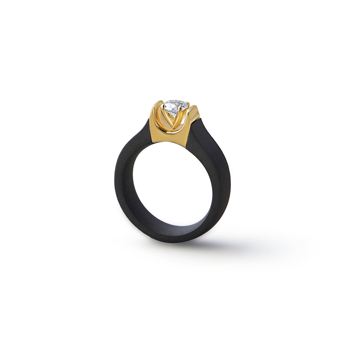 Classic Bezel Titanium Ring