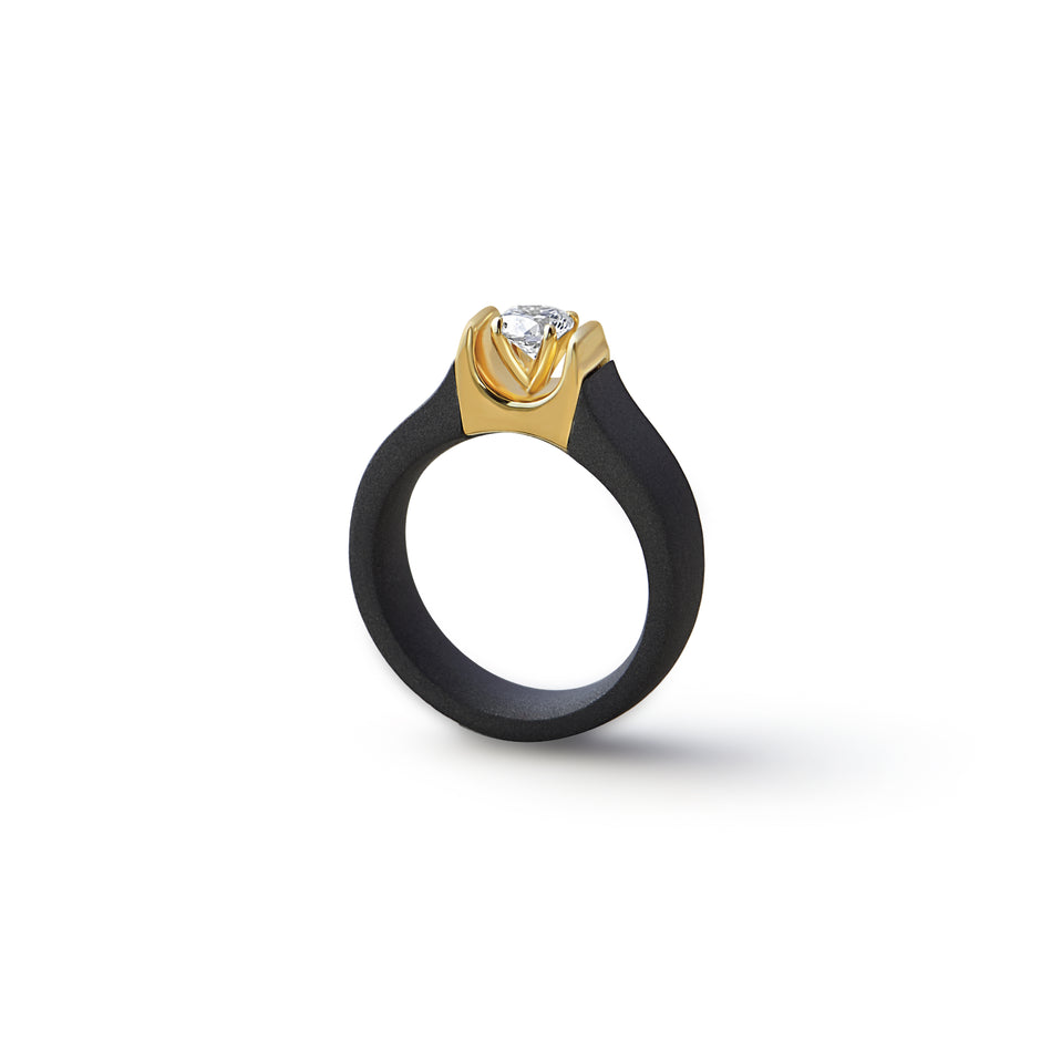 Classic Bezel Titanium Ring