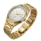 Sunray Series, 42MM Round Case, Two Toned Quartz Analogue Watch with Metal Band for Men, 50M Water Resistance