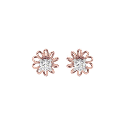 Virtuoso Diamond Earrings 18 KT / Rose Gold
