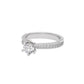 Harmonious Horizon Ring 18 KT / White Gold / 22