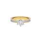Harmonious Horizon Ring 18 KT / Yellow Gold / 22