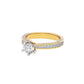 Harmonious Horizon Ring 18 KT / Yellow Gold / 22