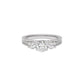 Whispering Romance Diamond Ring 18 KT / White Gold / 22